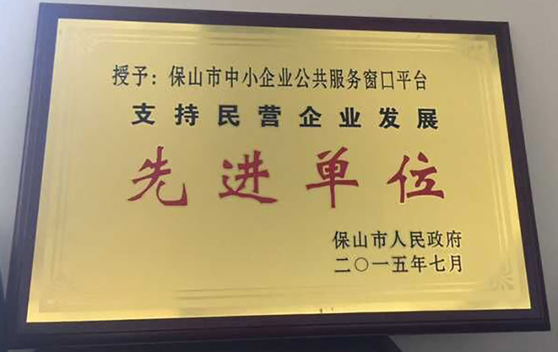 支持民营企业发展先进单位.jpg